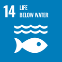 SDG 14 — Life Below Water