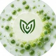 Mother Vegetable